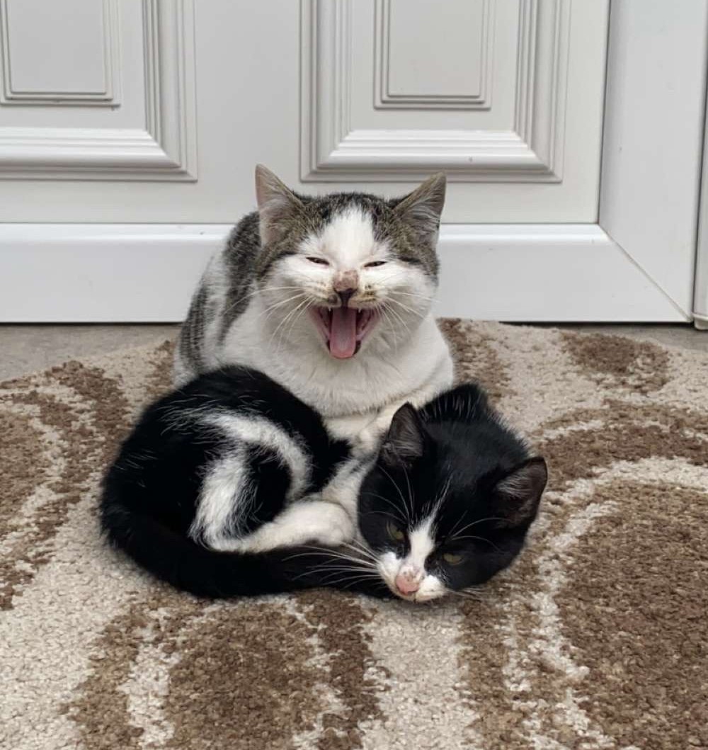 Lorelei and her friend