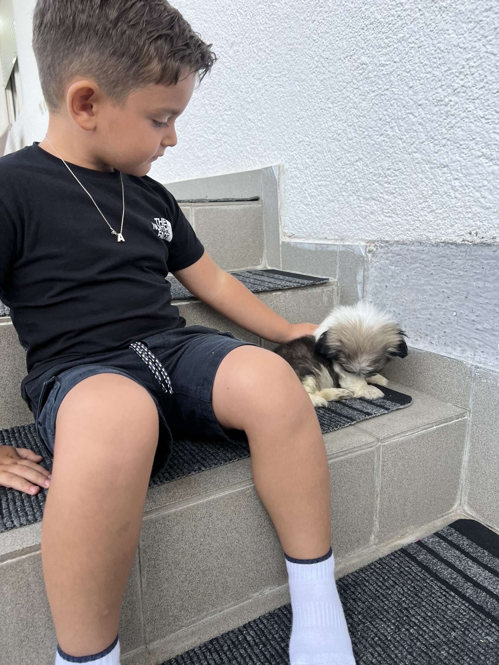 Teddy and his new owner