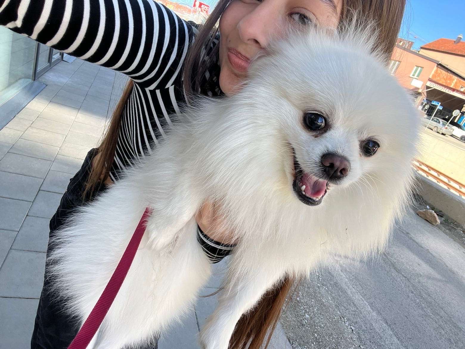 Snow white and her parent