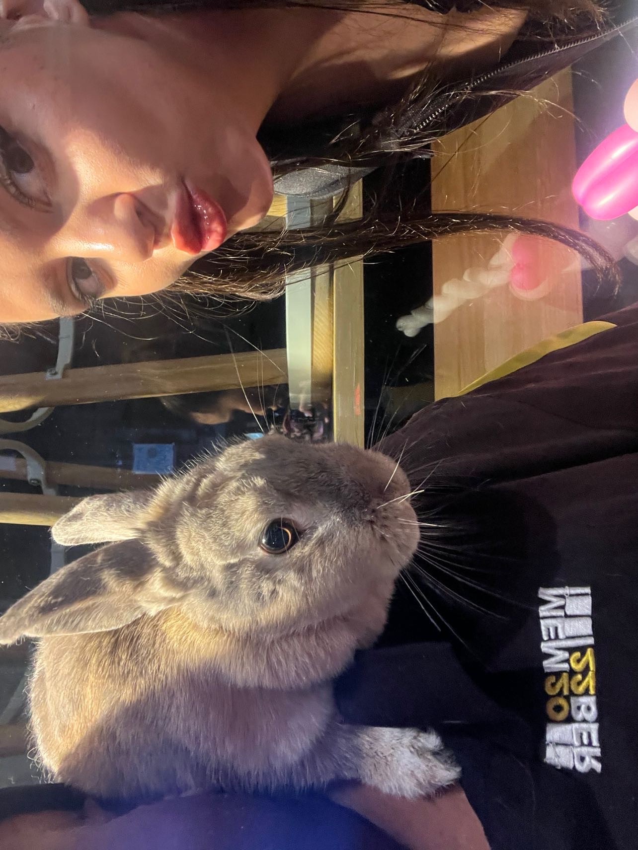 Bugsy and his new owner